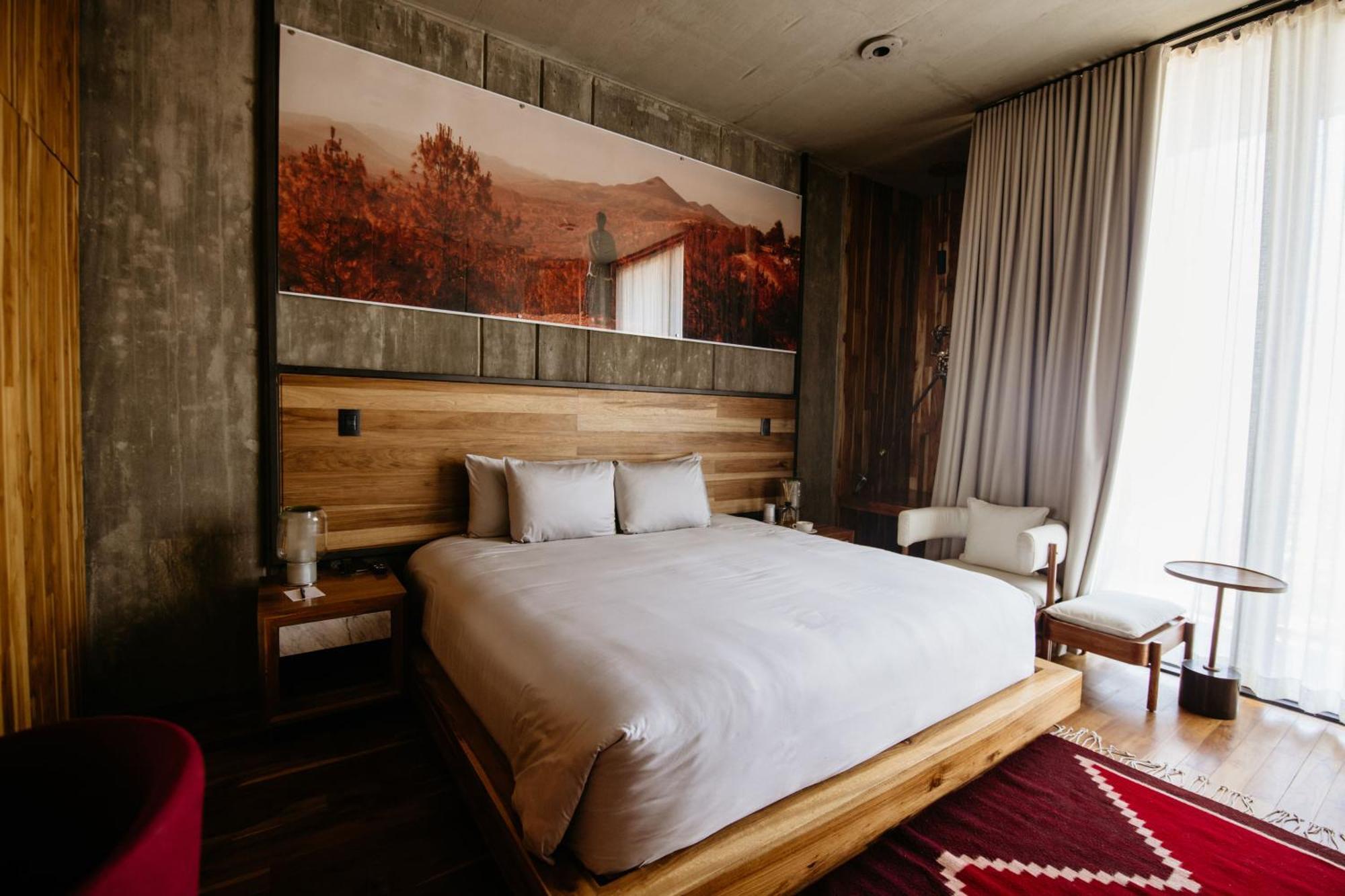 Flavia Hotel Oaxaca الغرفة الصورة